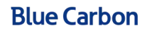 cropped-logo1-1-300x72